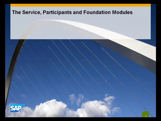2.6 The Service, Participants and Foundation Modules